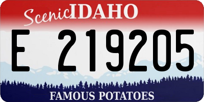 ID license plate E219205