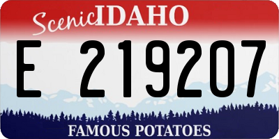 ID license plate E219207