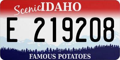 ID license plate E219208