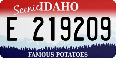 ID license plate E219209