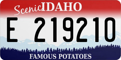 ID license plate E219210