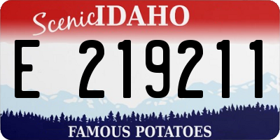 ID license plate E219211