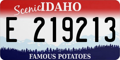 ID license plate E219213