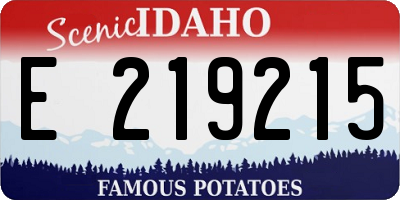 ID license plate E219215
