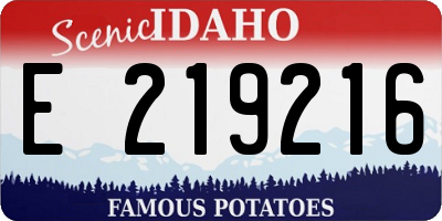 ID license plate E219216
