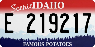 ID license plate E219217