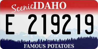 ID license plate E219219