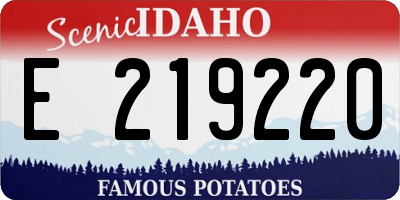 ID license plate E219220