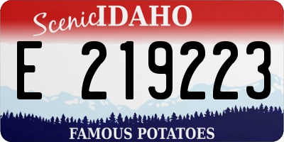 ID license plate E219223