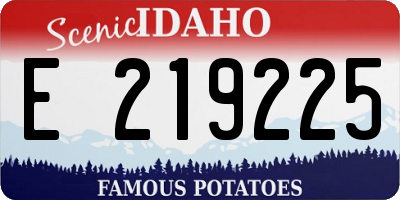 ID license plate E219225