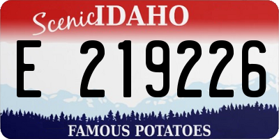 ID license plate E219226