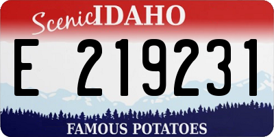 ID license plate E219231