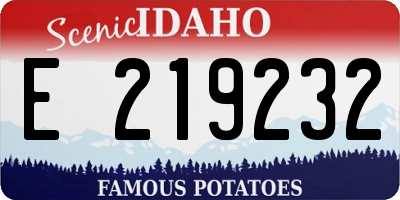 ID license plate E219232