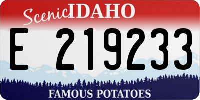 ID license plate E219233