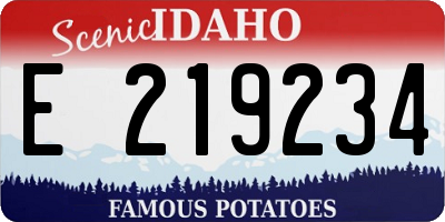 ID license plate E219234