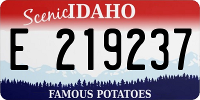 ID license plate E219237