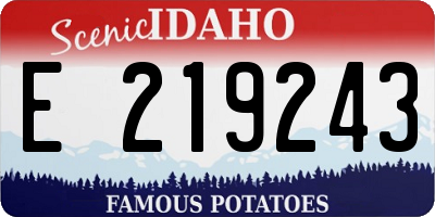 ID license plate E219243