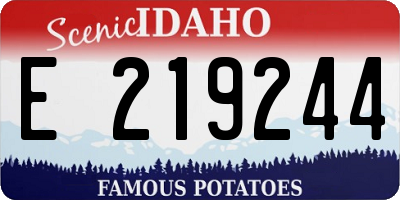 ID license plate E219244