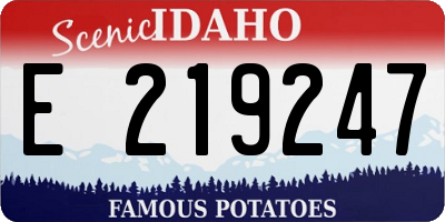 ID license plate E219247