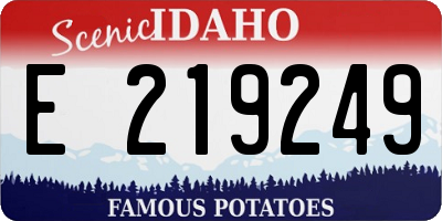 ID license plate E219249