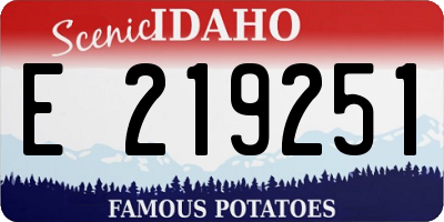 ID license plate E219251