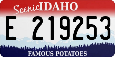 ID license plate E219253