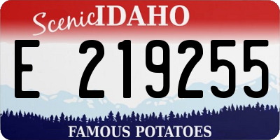ID license plate E219255