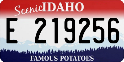 ID license plate E219256