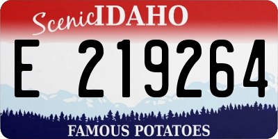 ID license plate E219264