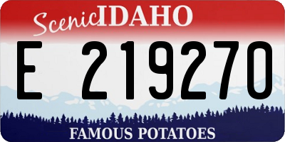 ID license plate E219270