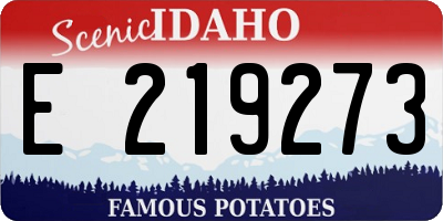 ID license plate E219273