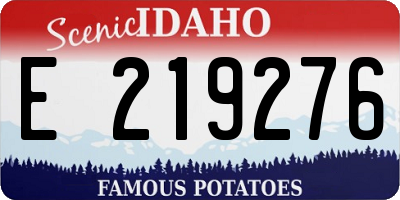 ID license plate E219276