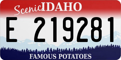 ID license plate E219281