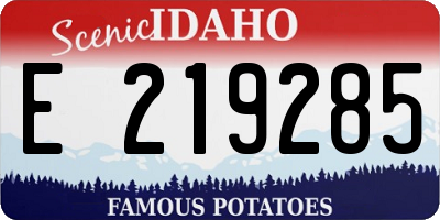 ID license plate E219285