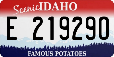 ID license plate E219290