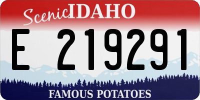 ID license plate E219291
