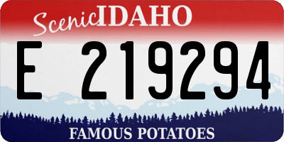 ID license plate E219294