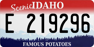ID license plate E219296