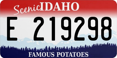 ID license plate E219298