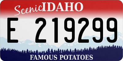 ID license plate E219299