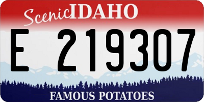 ID license plate E219307