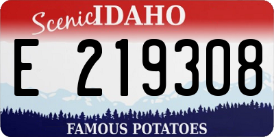 ID license plate E219308