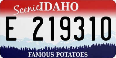 ID license plate E219310