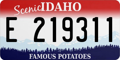 ID license plate E219311