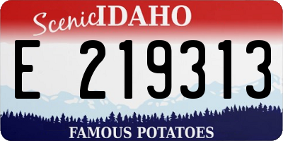 ID license plate E219313