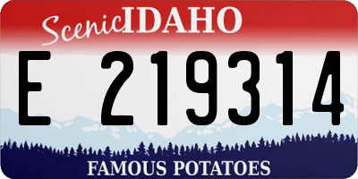 ID license plate E219314