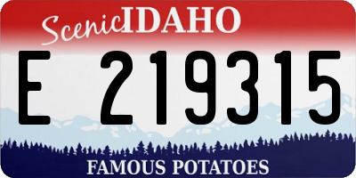 ID license plate E219315