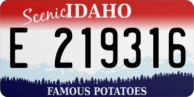 ID license plate E219316