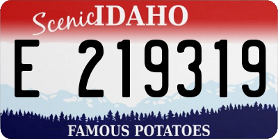 ID license plate E219319