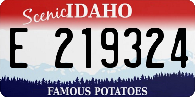 ID license plate E219324